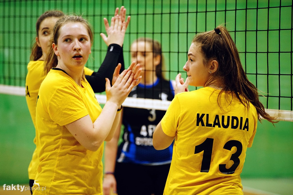 Krajeńska Liga Siatkówki Kobiet