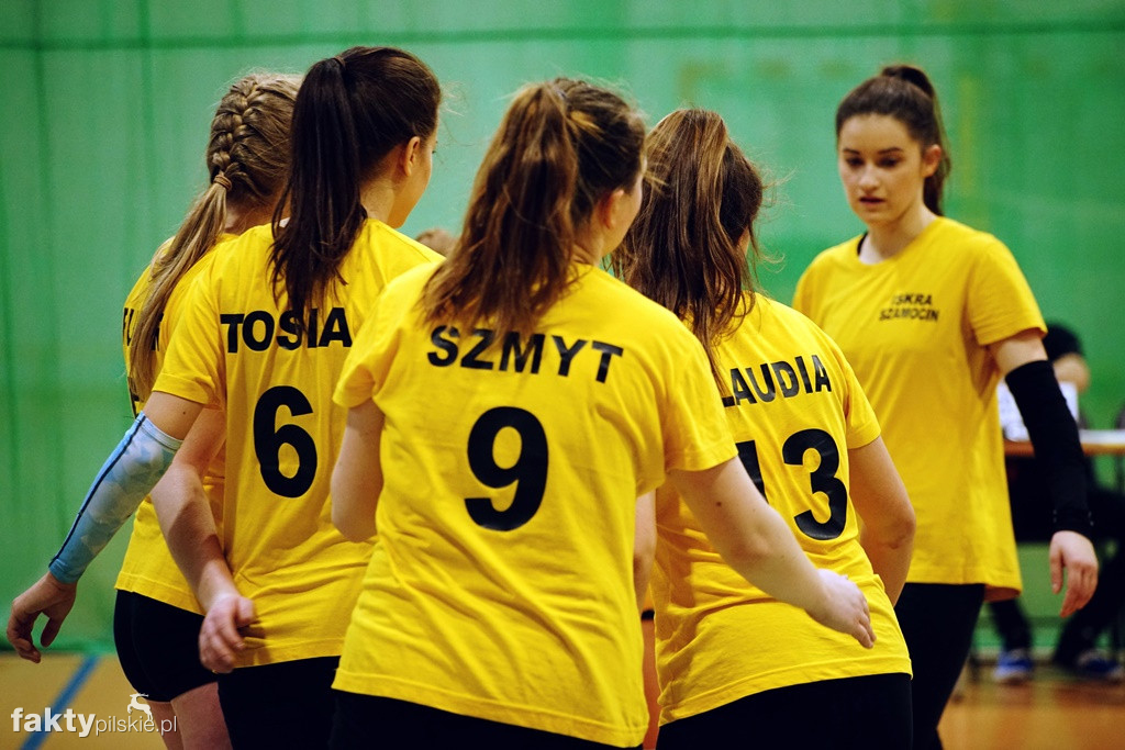 Krajeńska Liga Siatkówki Kobiet