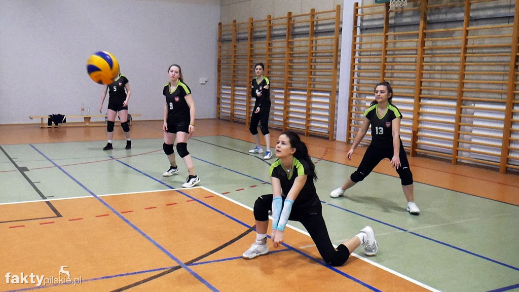 Krajeńska Liga Siatkówki Kobiet