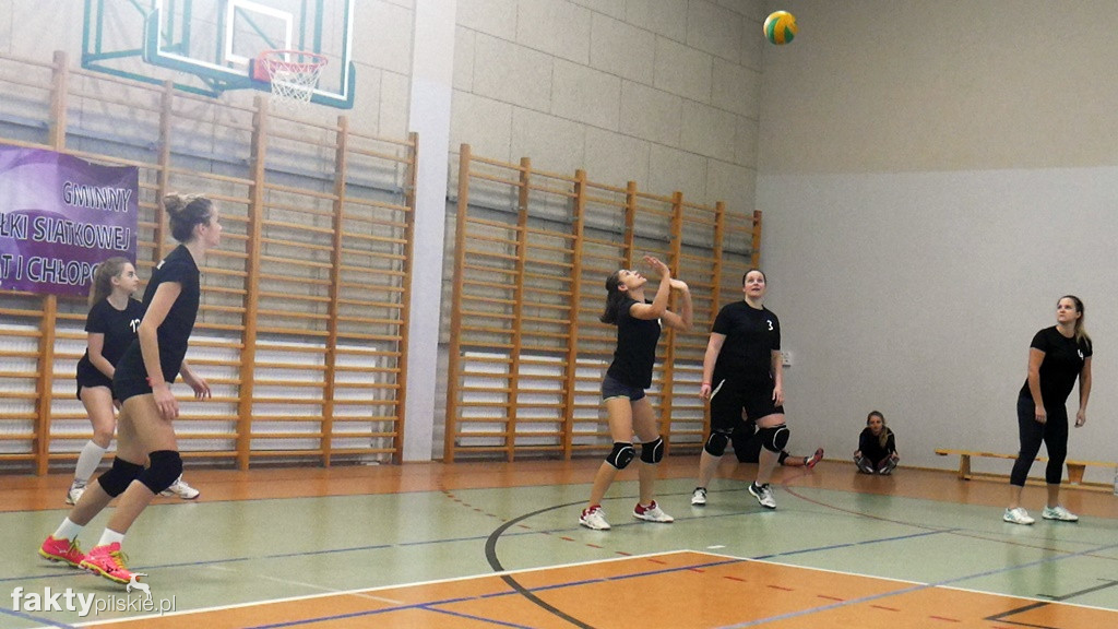 Krajeńska Liga Siatkówki Kobiet