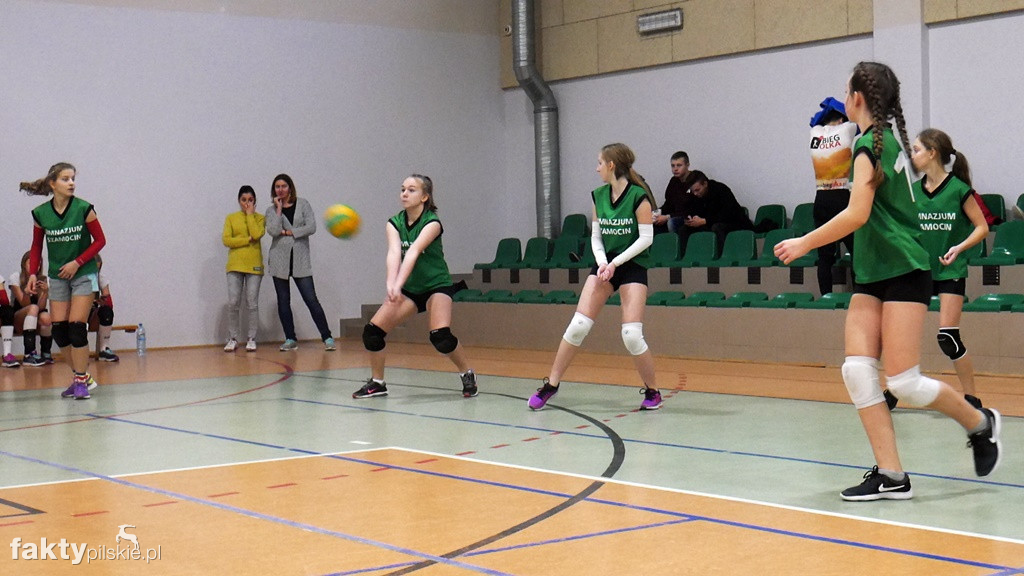 Krajeńska Liga Siatkówki Kobiet