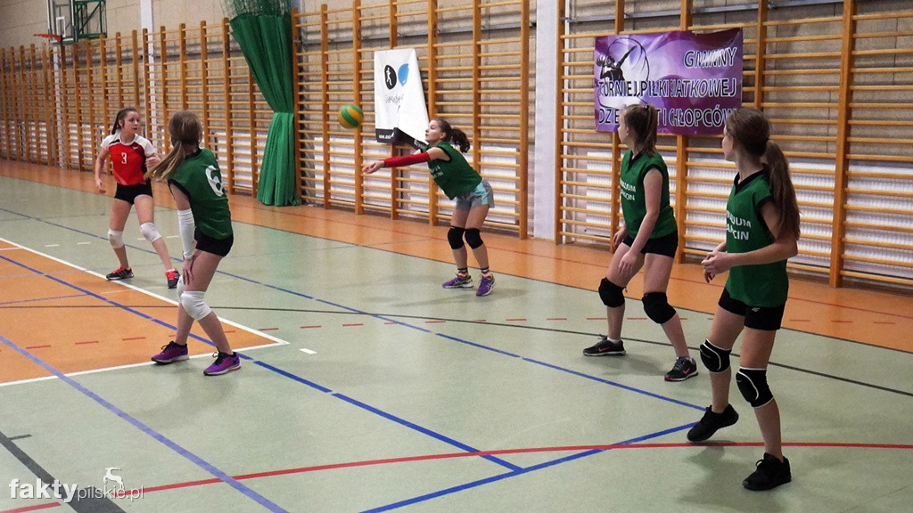 Krajeńska Liga Siatkówki Kobiet