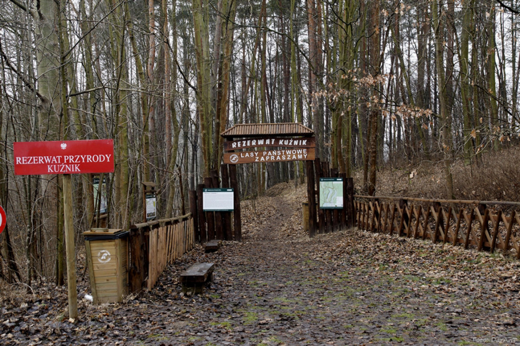 Spacer Rynną Jezior Kuźnickich