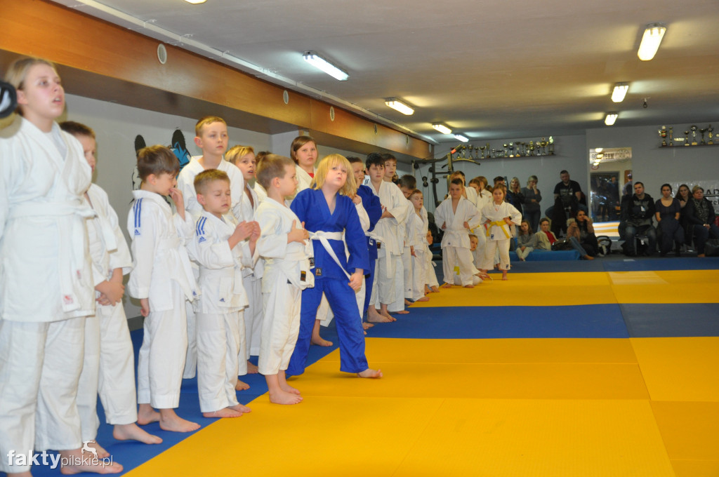 Rok sportowy 2018 w Judo Jopek Team