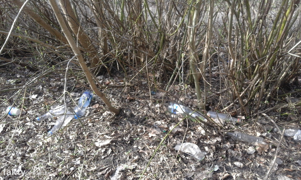 #Trashtag - druga akcja w Pile