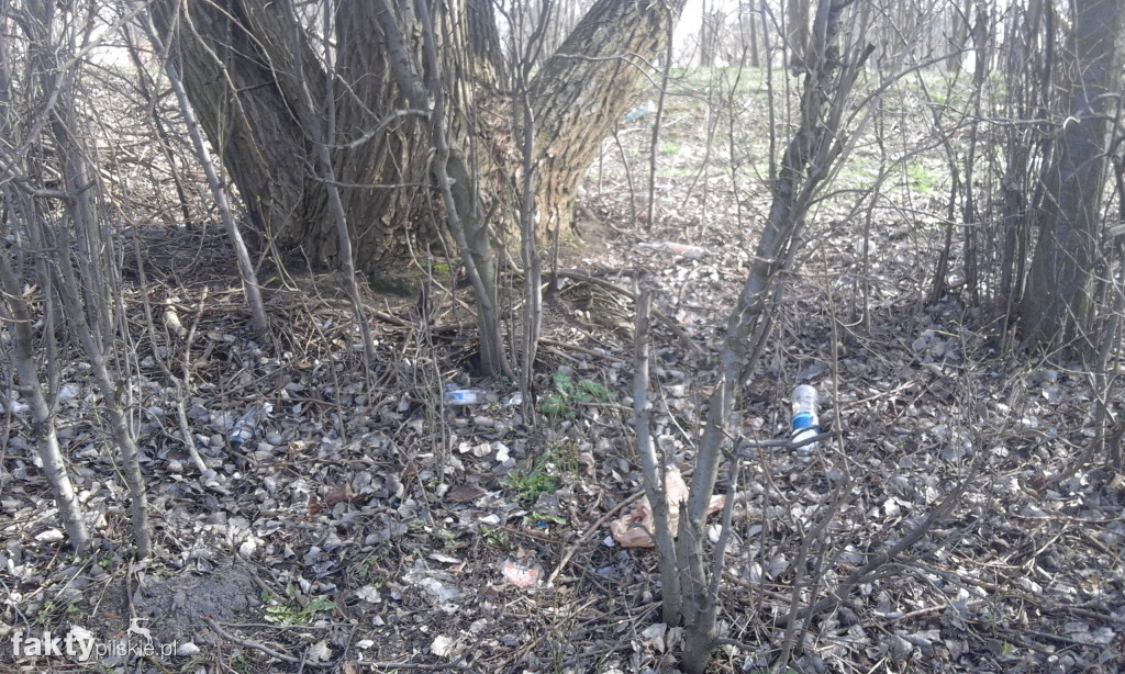 #Trashtag - druga akcja w Pile