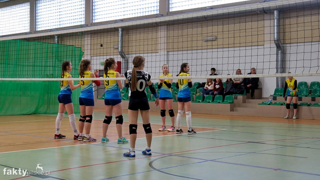 Krajeńska Liga Siatkówki Kobiet w Osieku