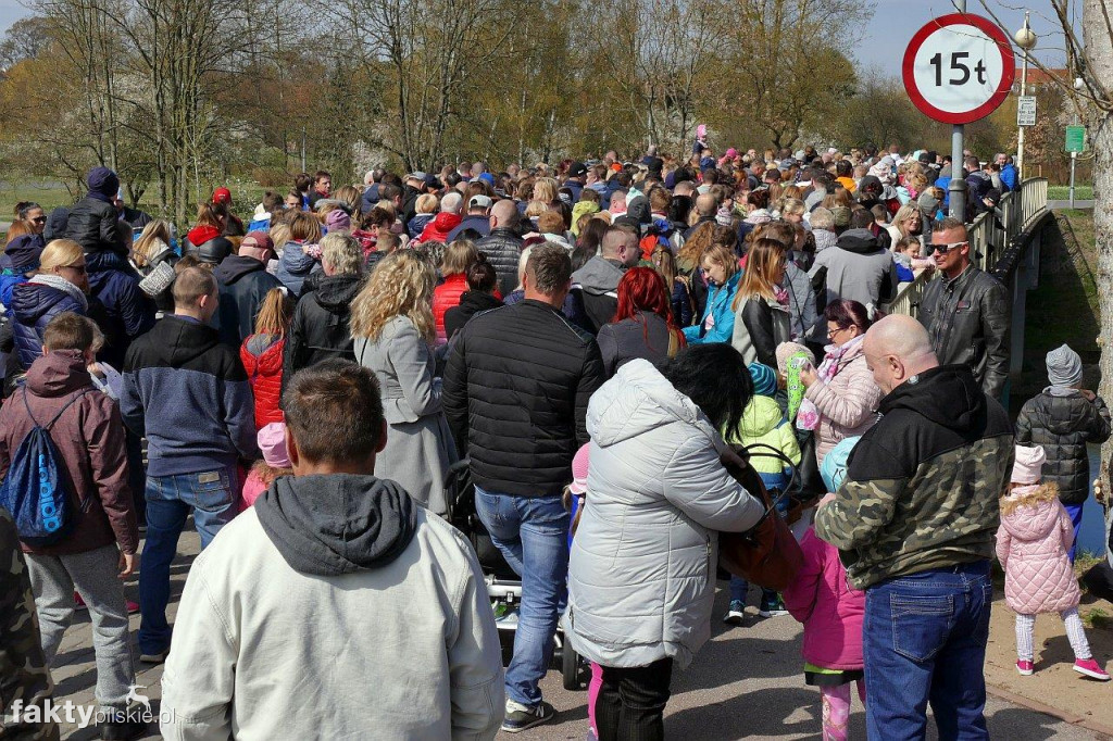 Poszukiwanie jajek na pilskiej Wyspie