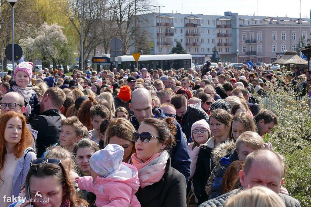 Poszukiwanie jajek na pilskiej Wyspie