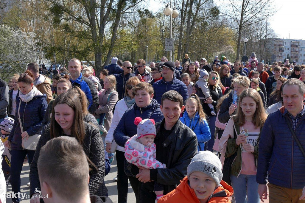Poszukiwanie jajek na pilskiej Wyspie