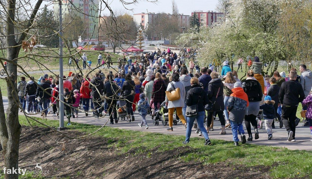 Poszukiwanie jajek na pilskiej Wyspie