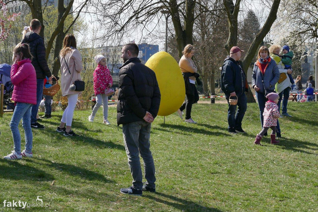 Poszukiwanie jajek na pilskiej Wyspie