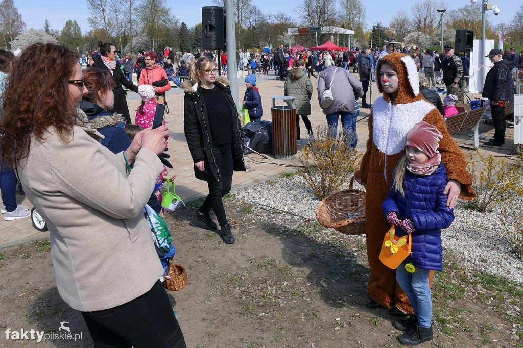 Poszukiwanie jajek na pilskiej Wyspie