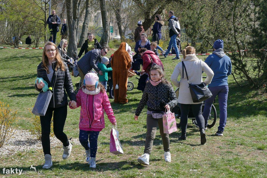 Poszukiwanie jajek na pilskiej Wyspie