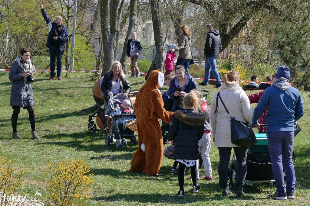 Poszukiwanie jajek na pilskiej Wyspie