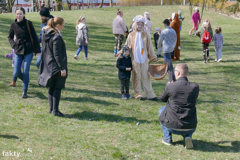 Poszukiwanie jajek na pilskiej Wyspie