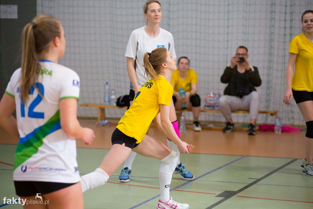 Krajeńska Liga Siatkówki Kobiet