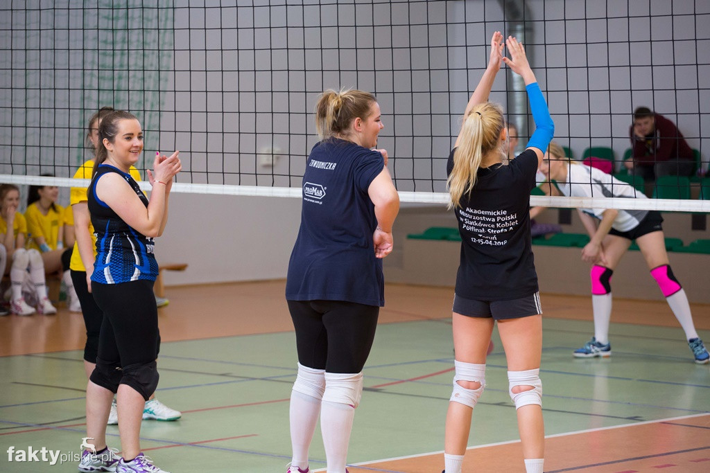 Krajeńska Liga Siatkówki Kobiet