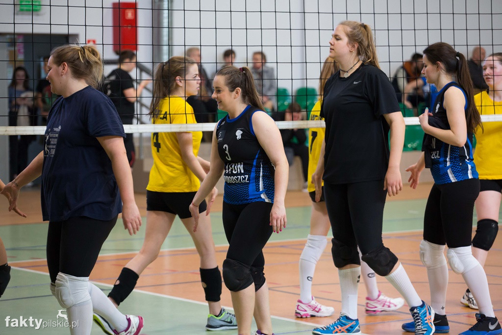 Krajeńska Liga Siatkówki Kobiet