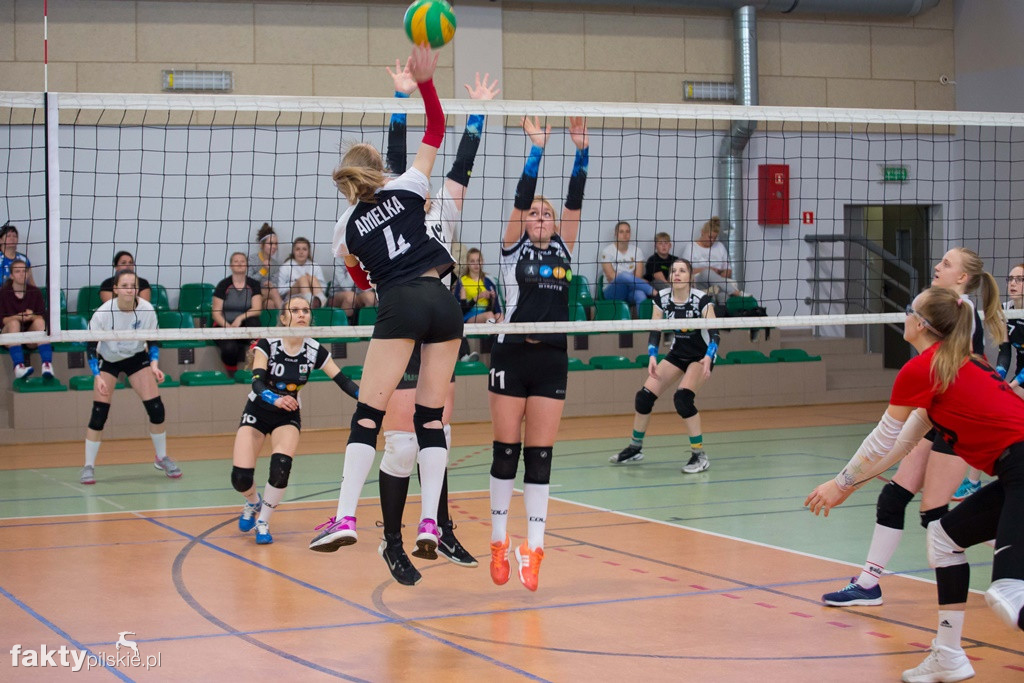 Krajeńska Liga Siatkówki Kobiet