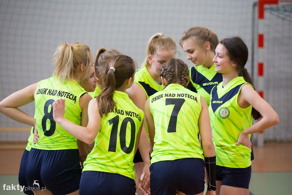 Krajeńska Liga Siatkówki Kobiet