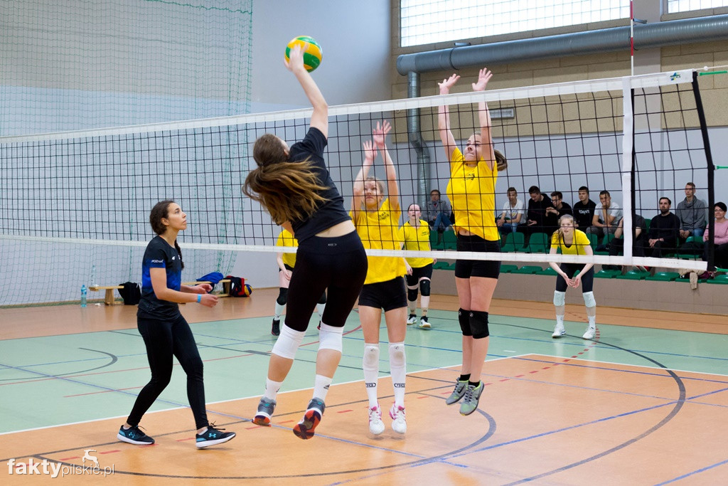 Krajeńska Liga Siatkówki 2018/2019