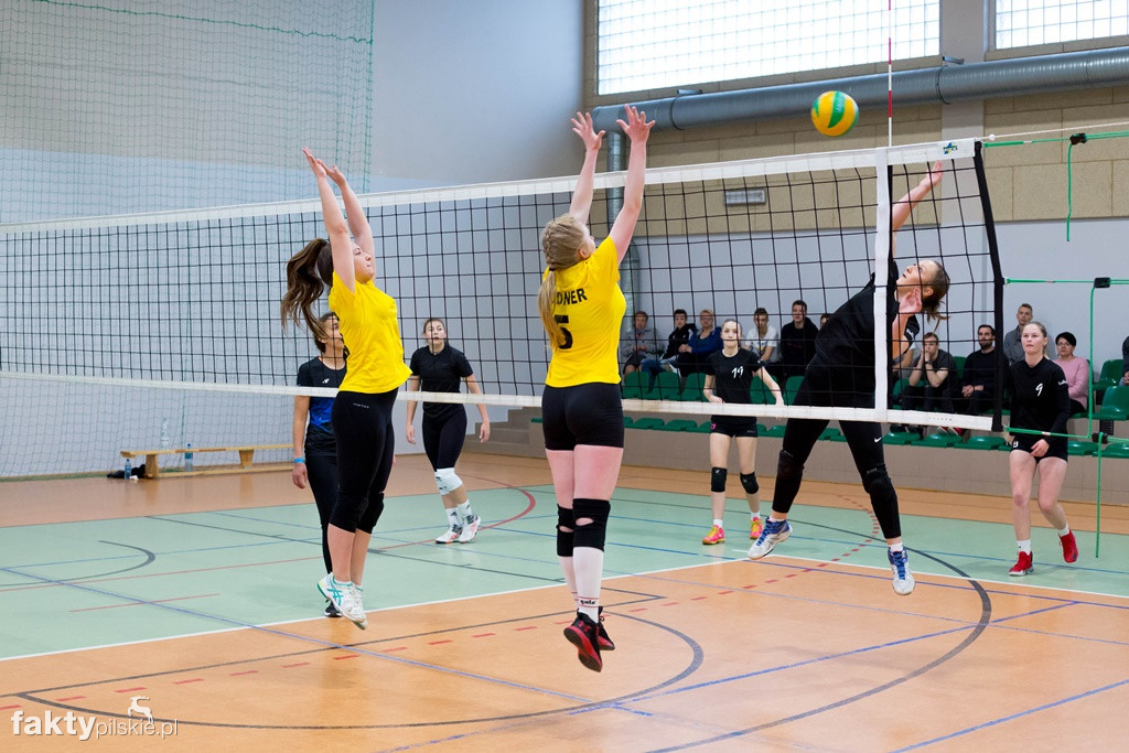 Krajeńska Liga Siatkówki 2018/2019