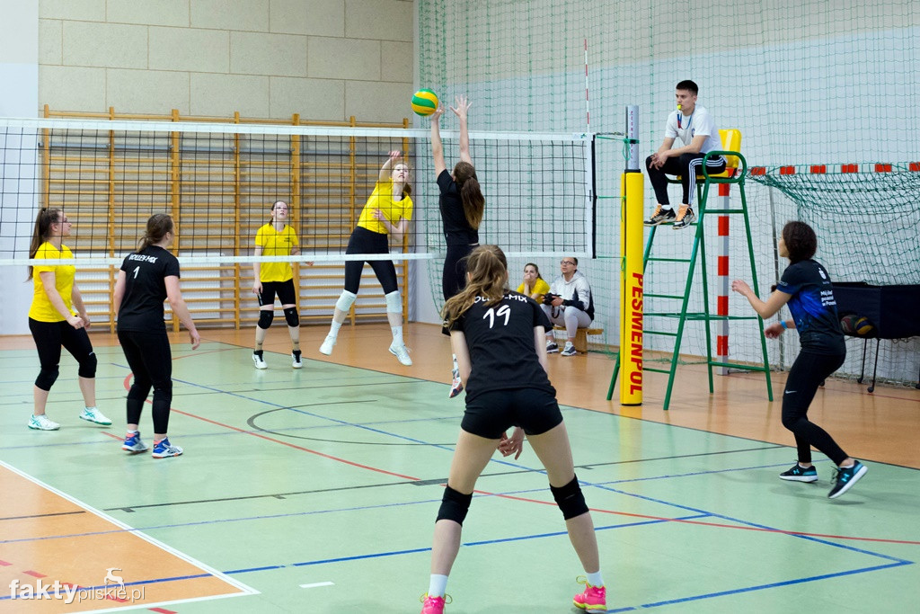 Krajeńska Liga Siatkówki 2018/2019