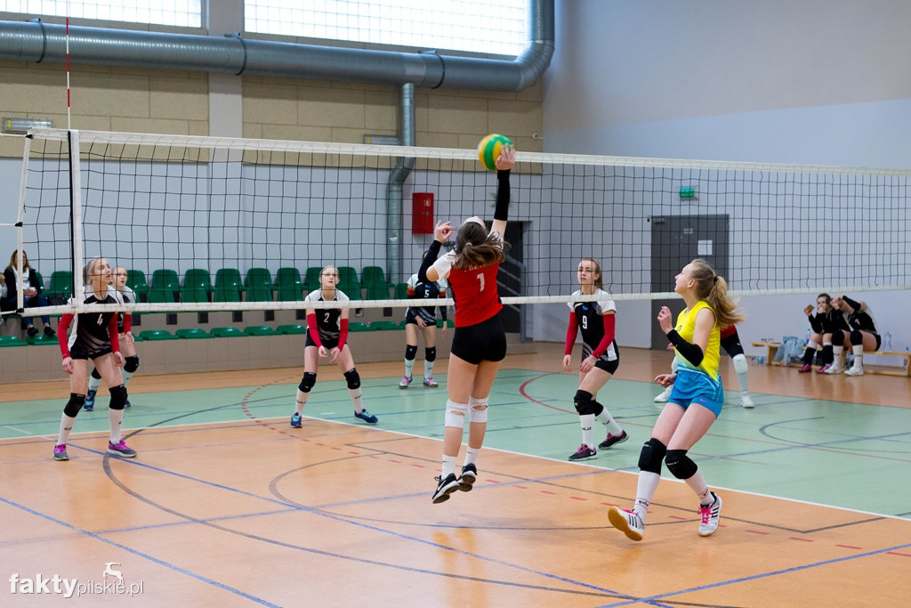 Krajeńska Liga Siatkówki 2018/2019