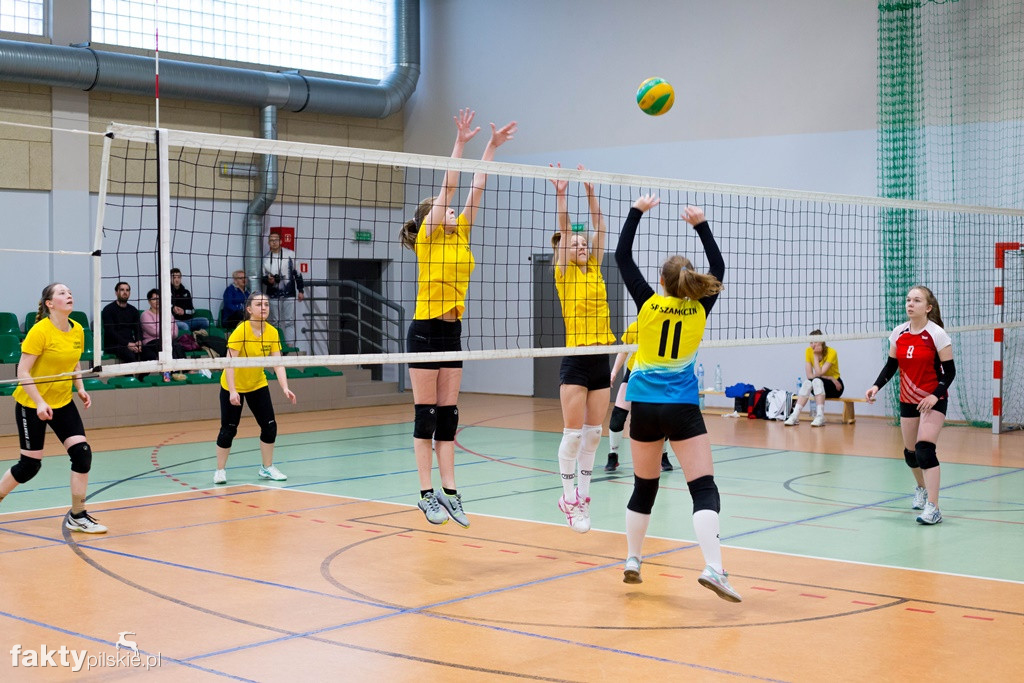 Krajeńska Liga Siatkówki 2018/2019