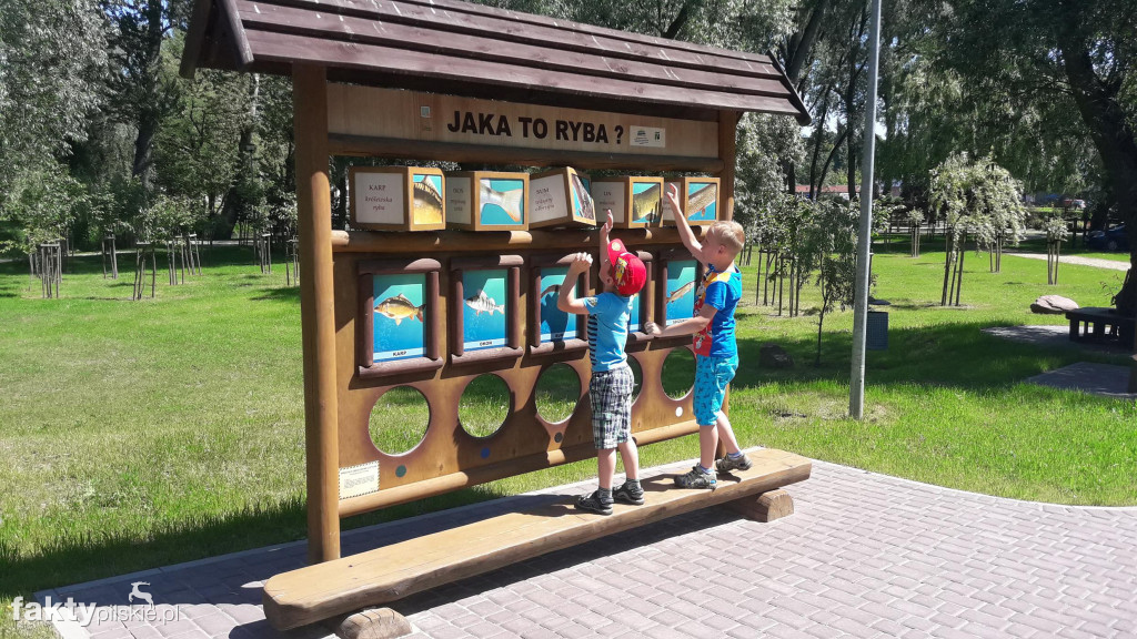 Pszczółki w bibliotece w Wyrzysku
