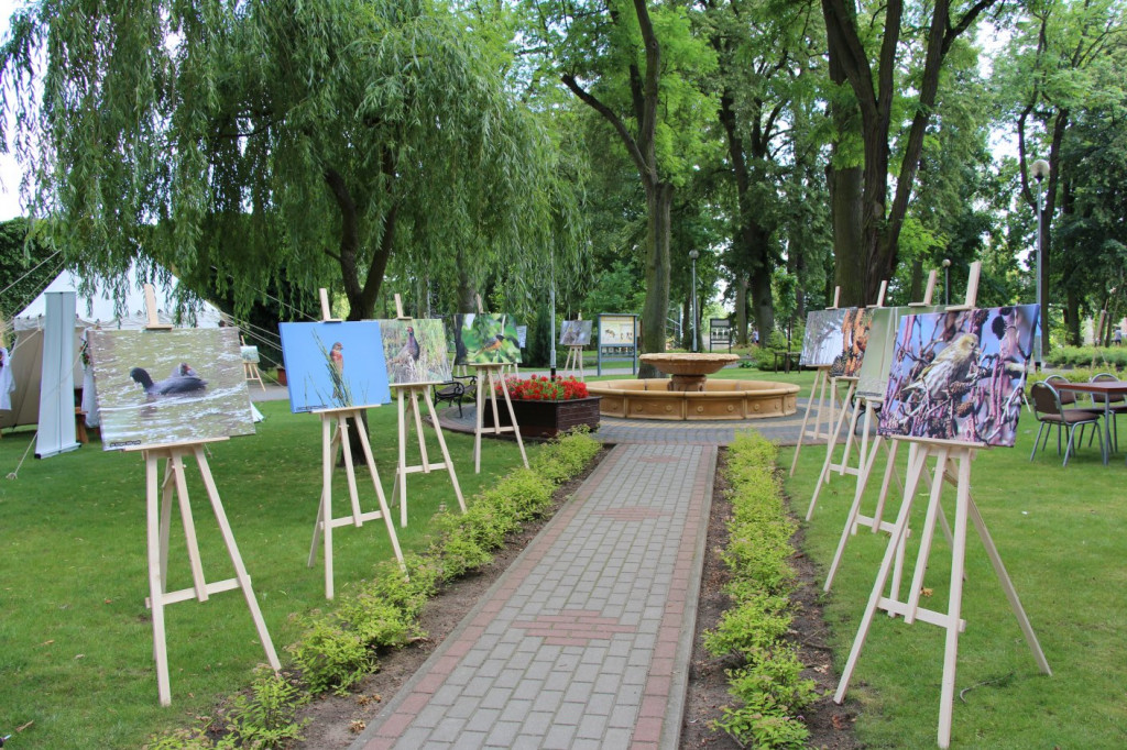 Naturalisko w Łobżenicy 2019