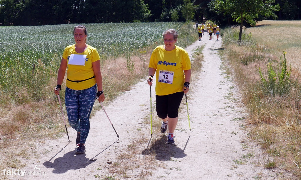 4 Pory Roku - Dębowa Góra Lato 2019