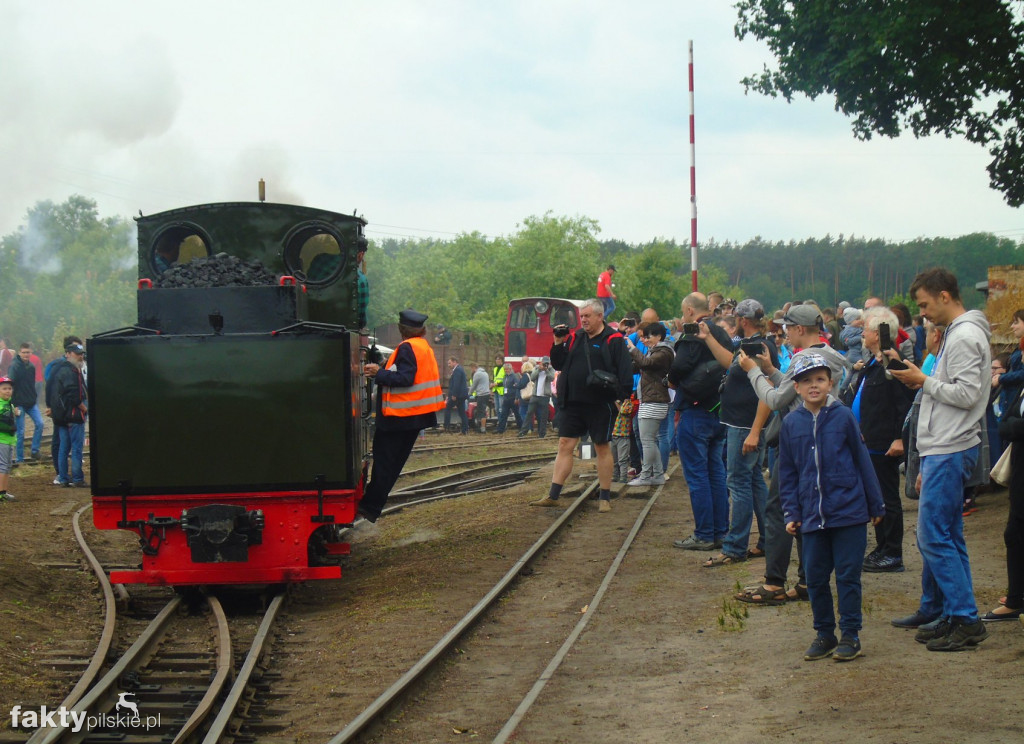 Zlot Miłośników Kolejek Wąskotorowych