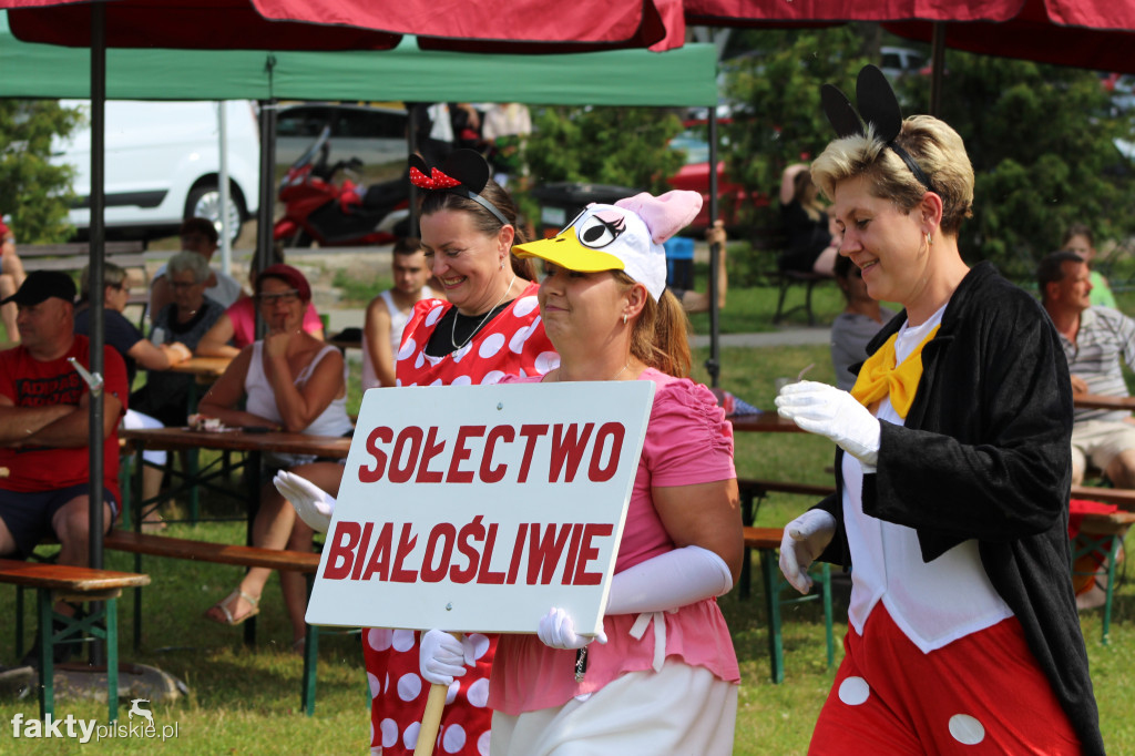 Sołtysówka na Krajnie 2019