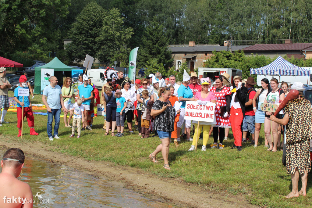 Sołtysówka na Krajnie 2019