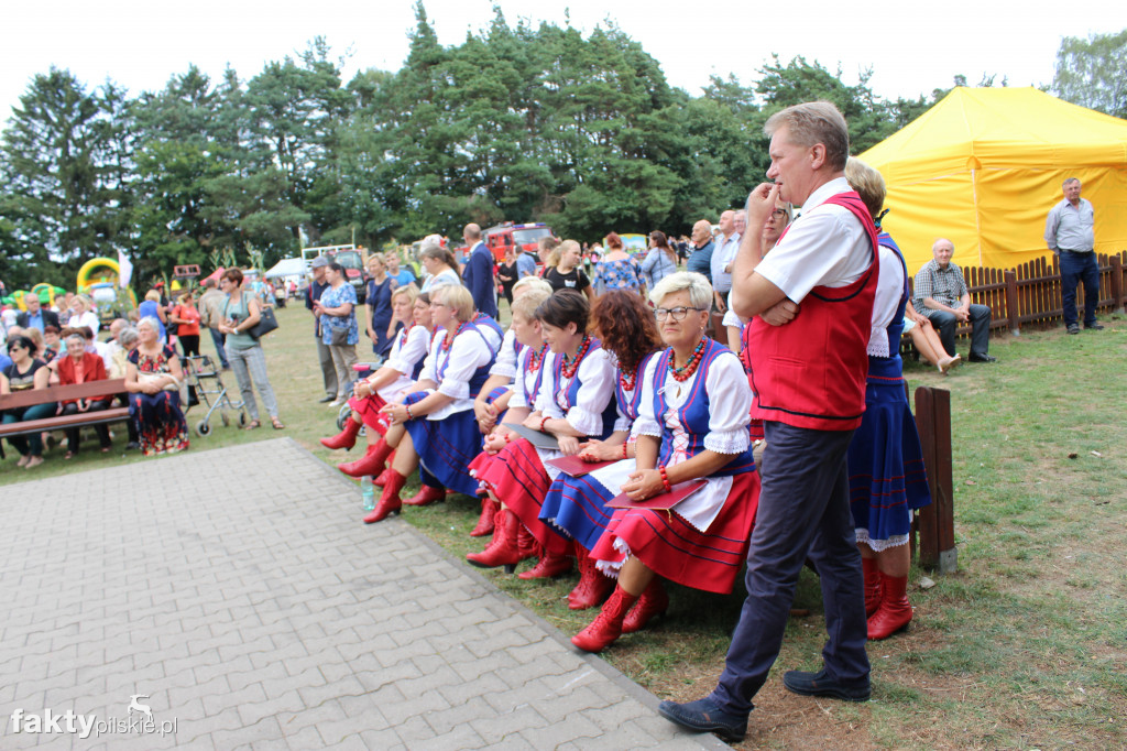 Dożynki w Brzostowie A.D. 2019