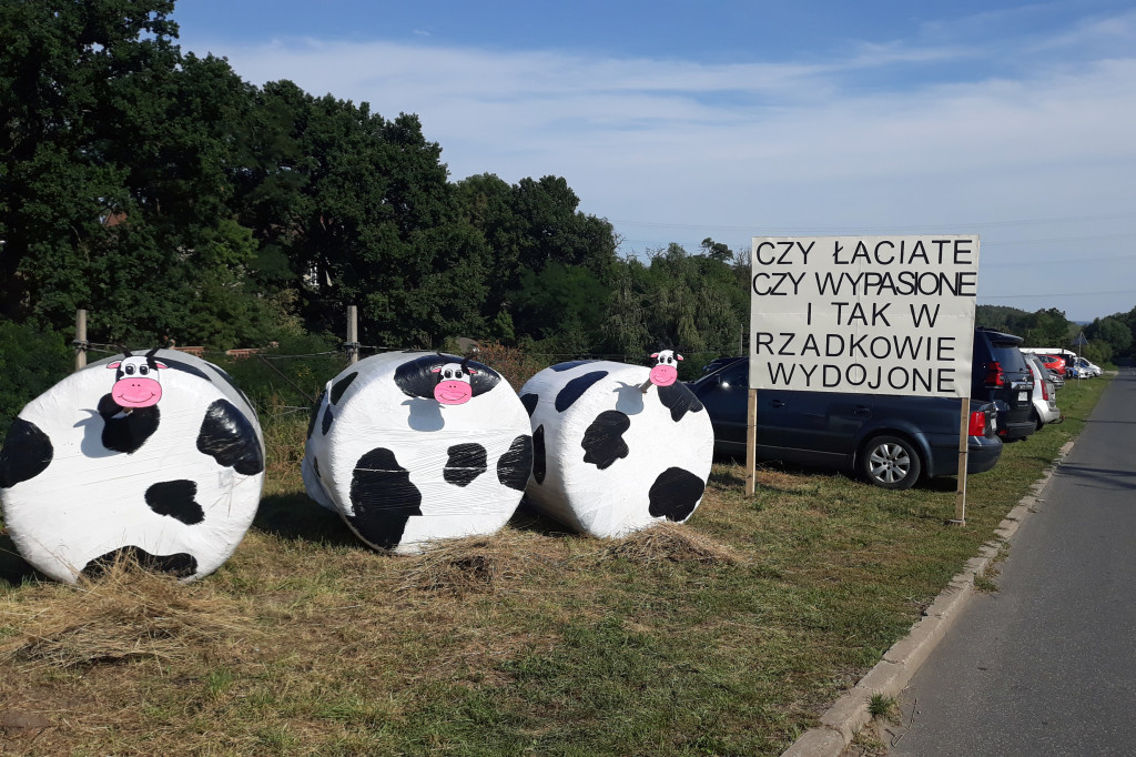 Dożynki w Rzadkowie - 25.08.2019