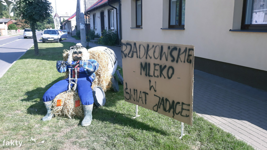 Dożynki w Rzadkowie - 25.08.2019