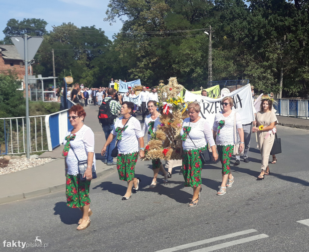 Dożynki w Rzadkowie - 25.08.2019