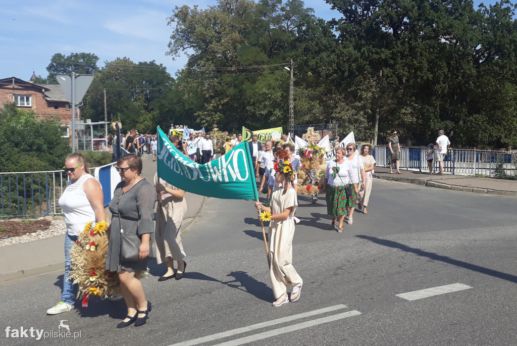 Dożynki w Rzadkowie - 25.08.2019