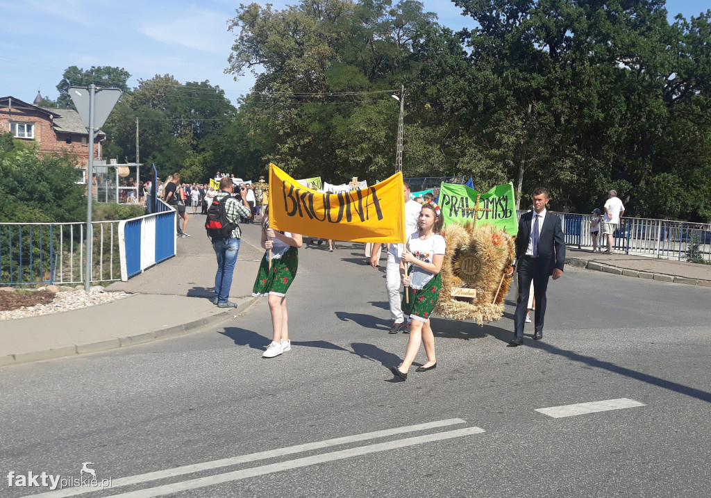 Dożynki w Rzadkowie - 25.08.2019
