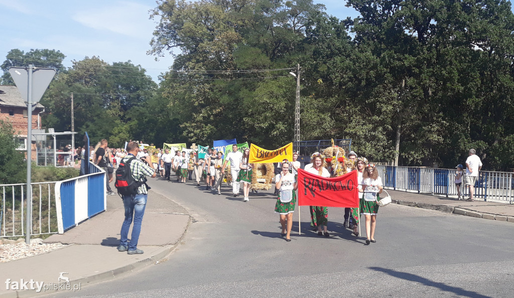 Dożynki w Rzadkowie - 25.08.2019