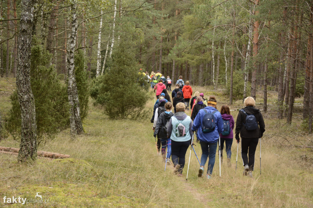 V Rajd Graniczny Nordic Walking