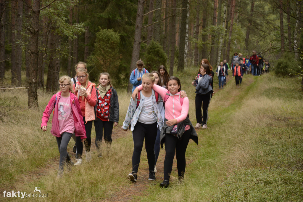 V Rajd Graniczny Nordic Walking