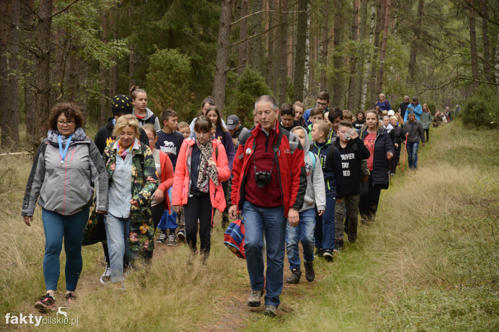 V Rajd Graniczny Nordic Walking