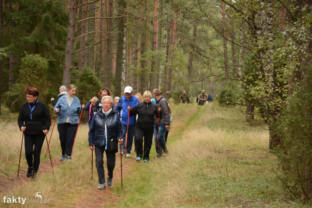 V Rajd Graniczny Nordic Walking