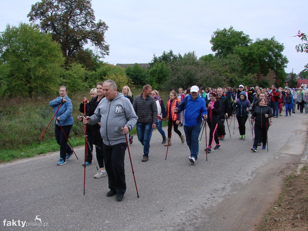 V Rajd Graniczny Nordic Walking