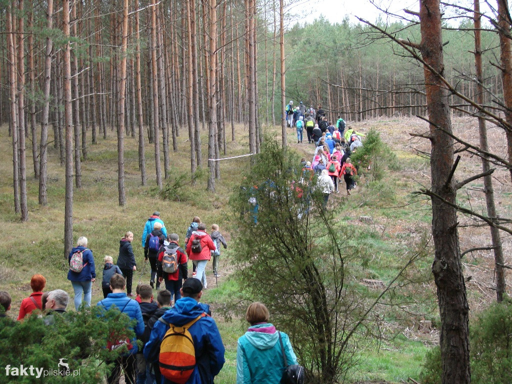 V Rajd Graniczny Nordic Walking