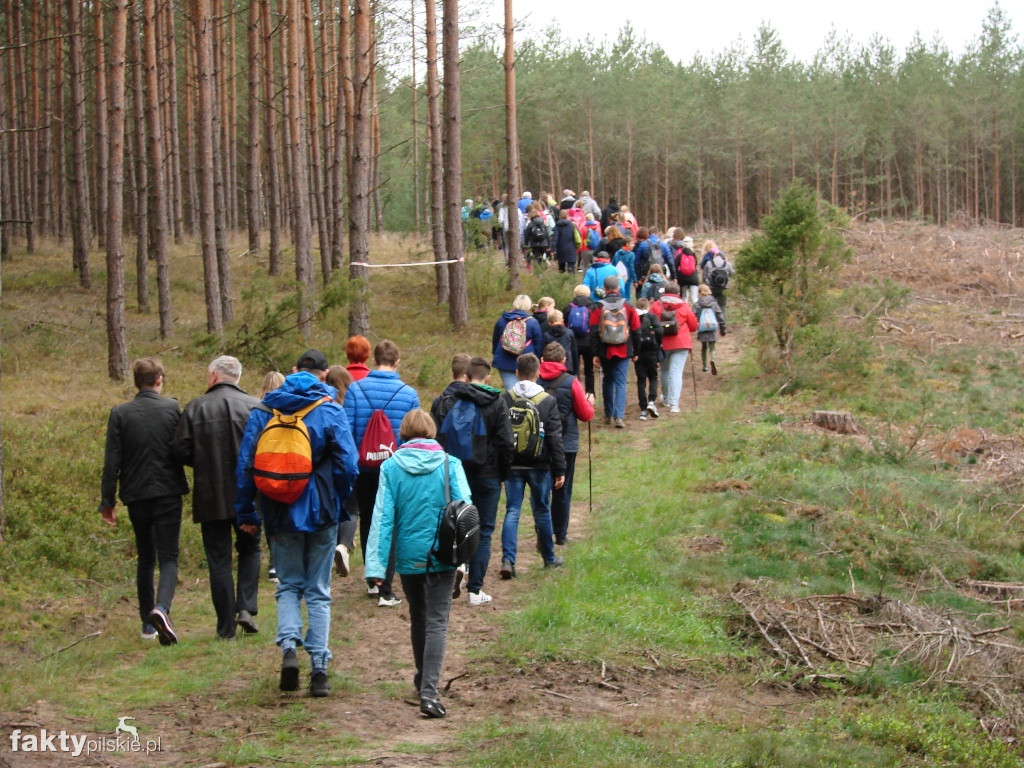 V Rajd Graniczny Nordic Walking